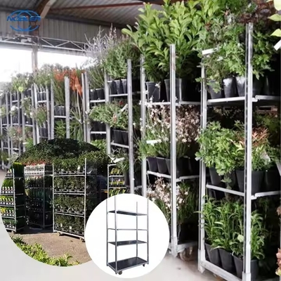 방수 덴마크 꽃 트레일 고온 가루화 된 진크 및 네트워크 망 층