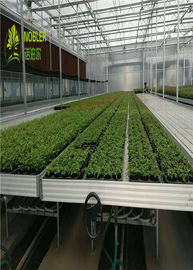 Hydroponic 쟁반 묘종 온실은 식물 Seedbed/야채를 위한 침대를 성장합니다